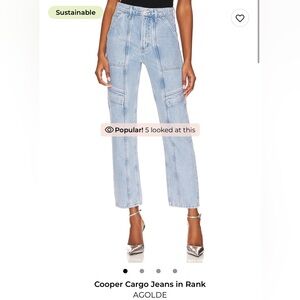 Agolde Cooper Cargo Jeans in Rank